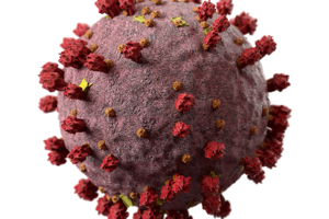 Effect of COVID-19 and Vaccine on Retinal Disease