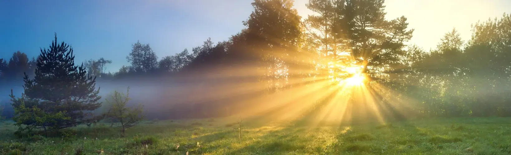 Ray of a New Dawn in Corneal Infection Research