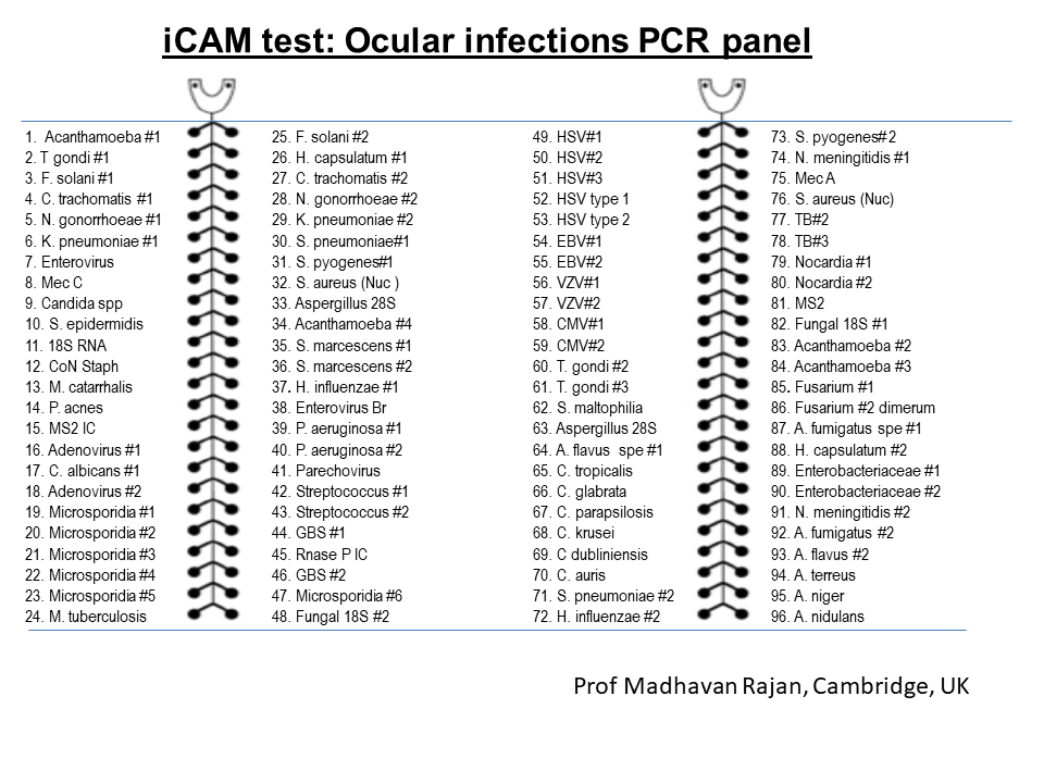 Dedicated PCR Infection Panel to Speed Up Diagnosis 