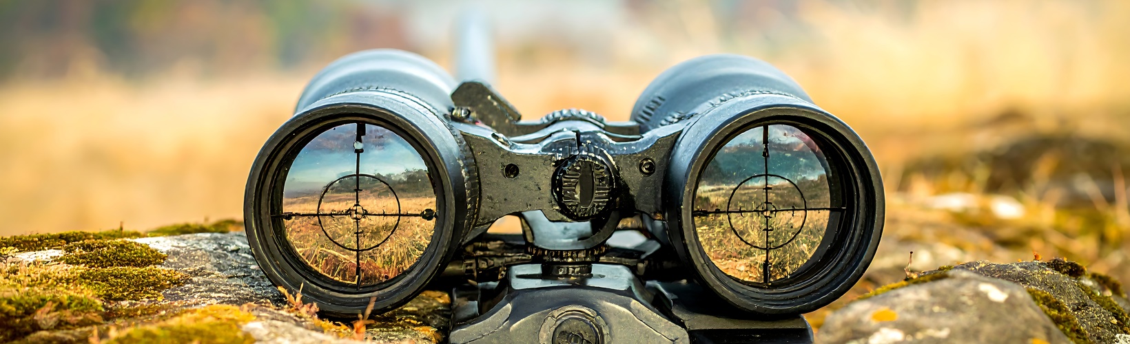 Banner image for Modular Shape-Changing IOLs 