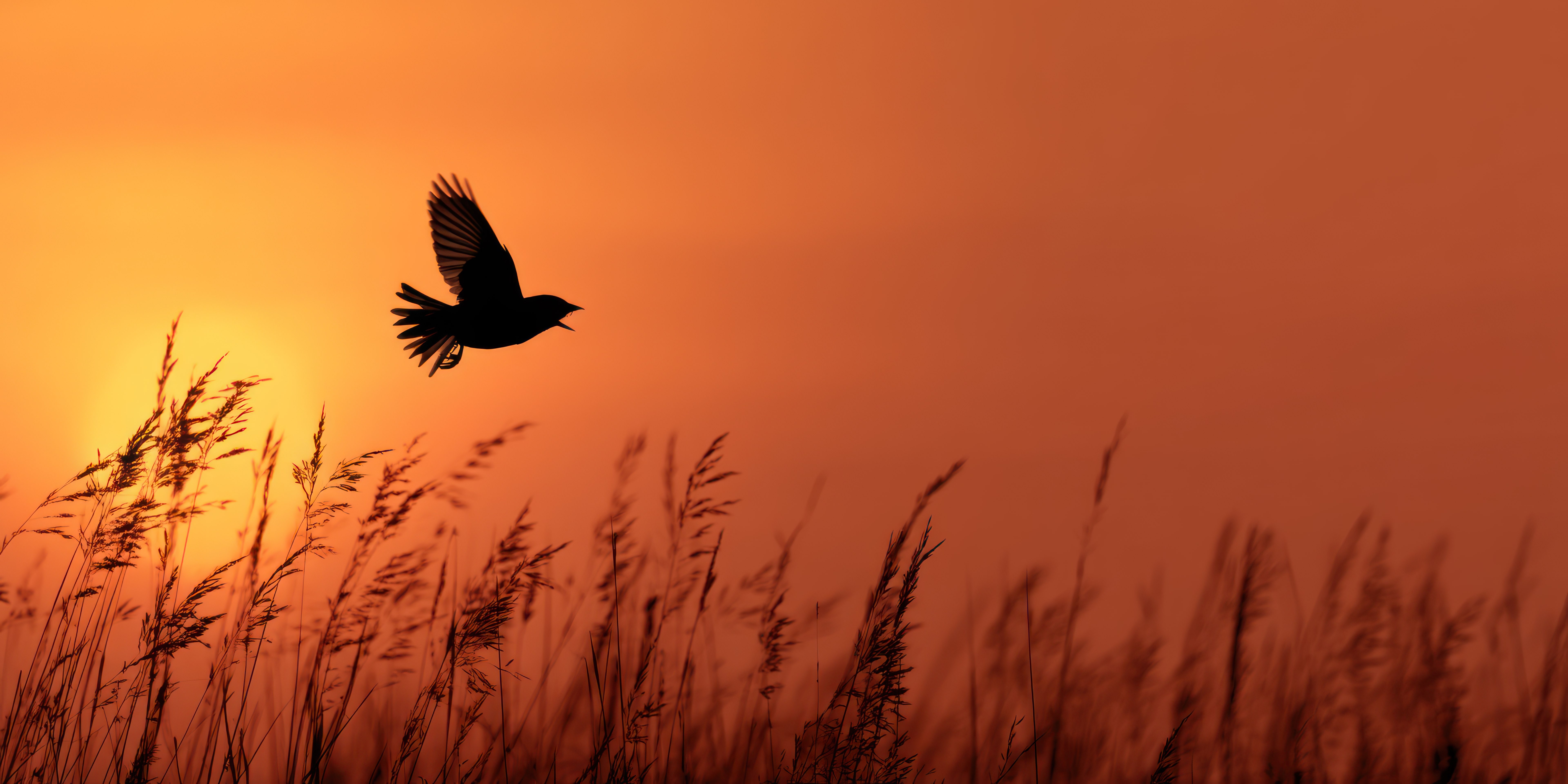 Targeting the Intravitreal Treatment Burden