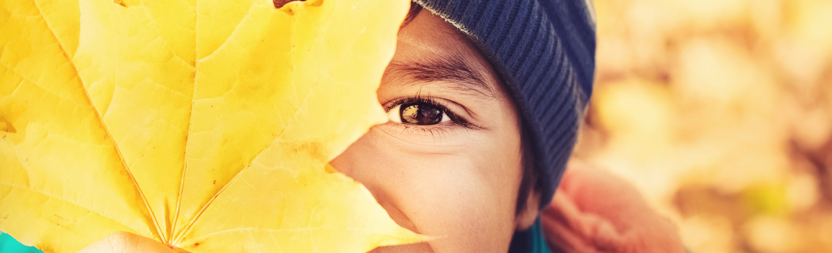 Banner image for WSPOS Myopia Consensus Statement Provides Clear Answers