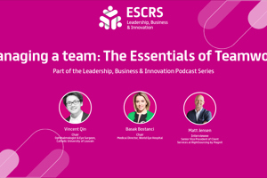 Leadership, Business & Innovation Podcast: Managing a team - The Essentials of Teamwork