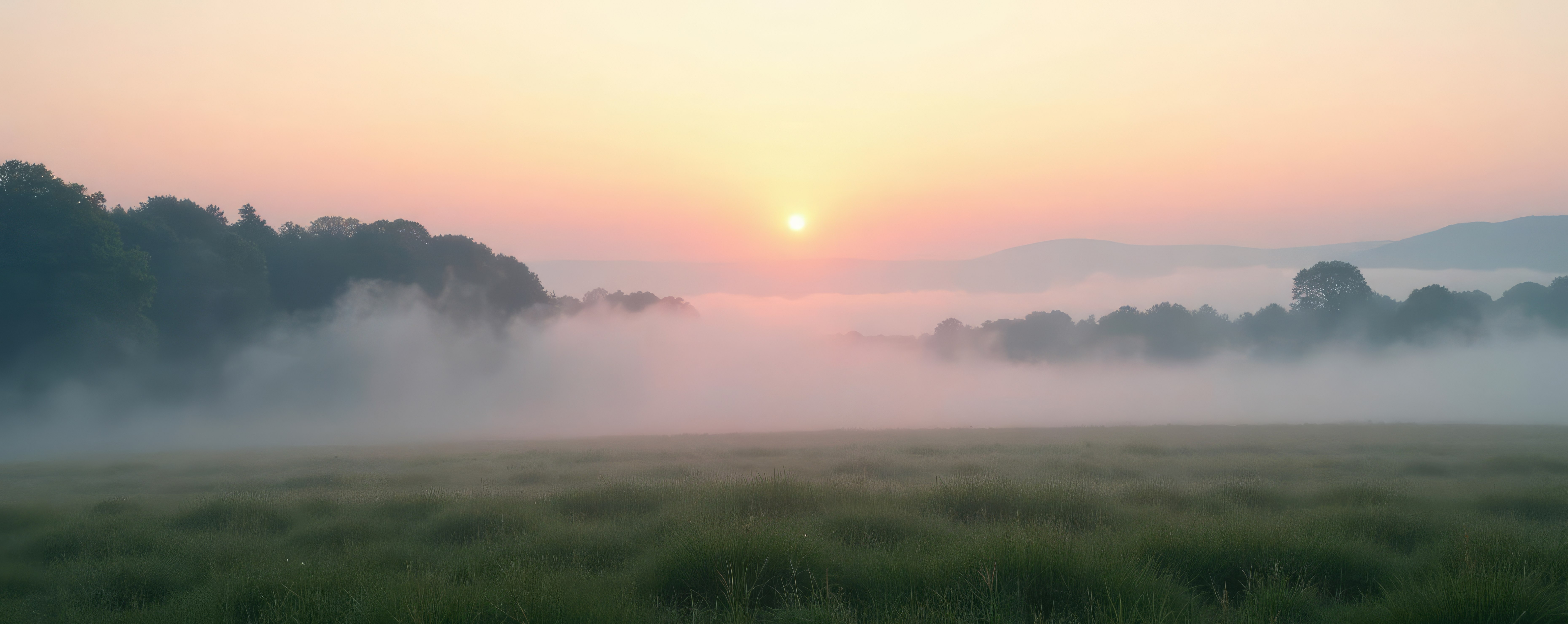 Treatment for Macular Oedema Secondary to Inflammation