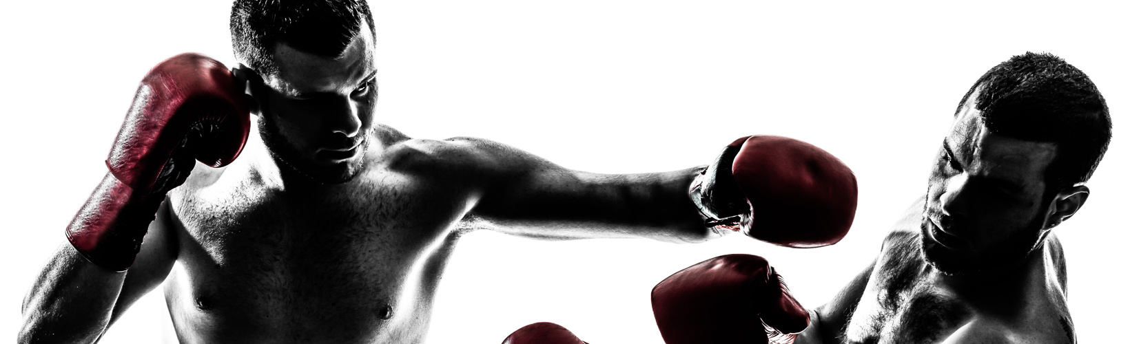 Banner image for Eye Care Enters the Ring