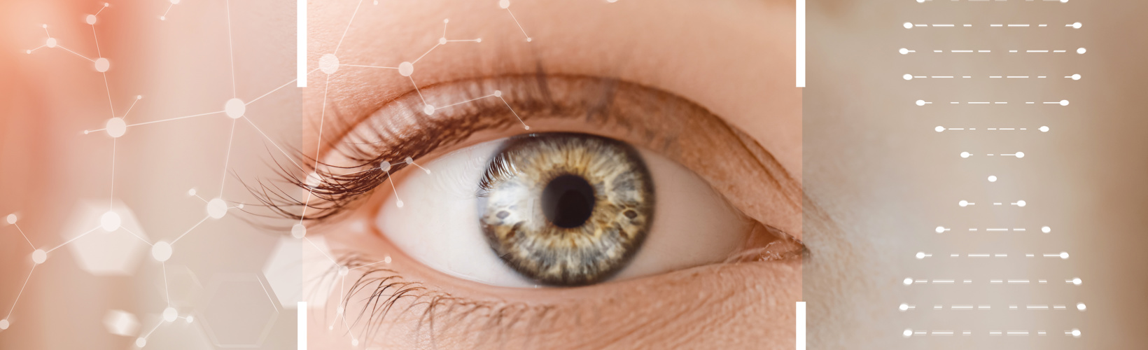 Banner image for Never Go In Blind