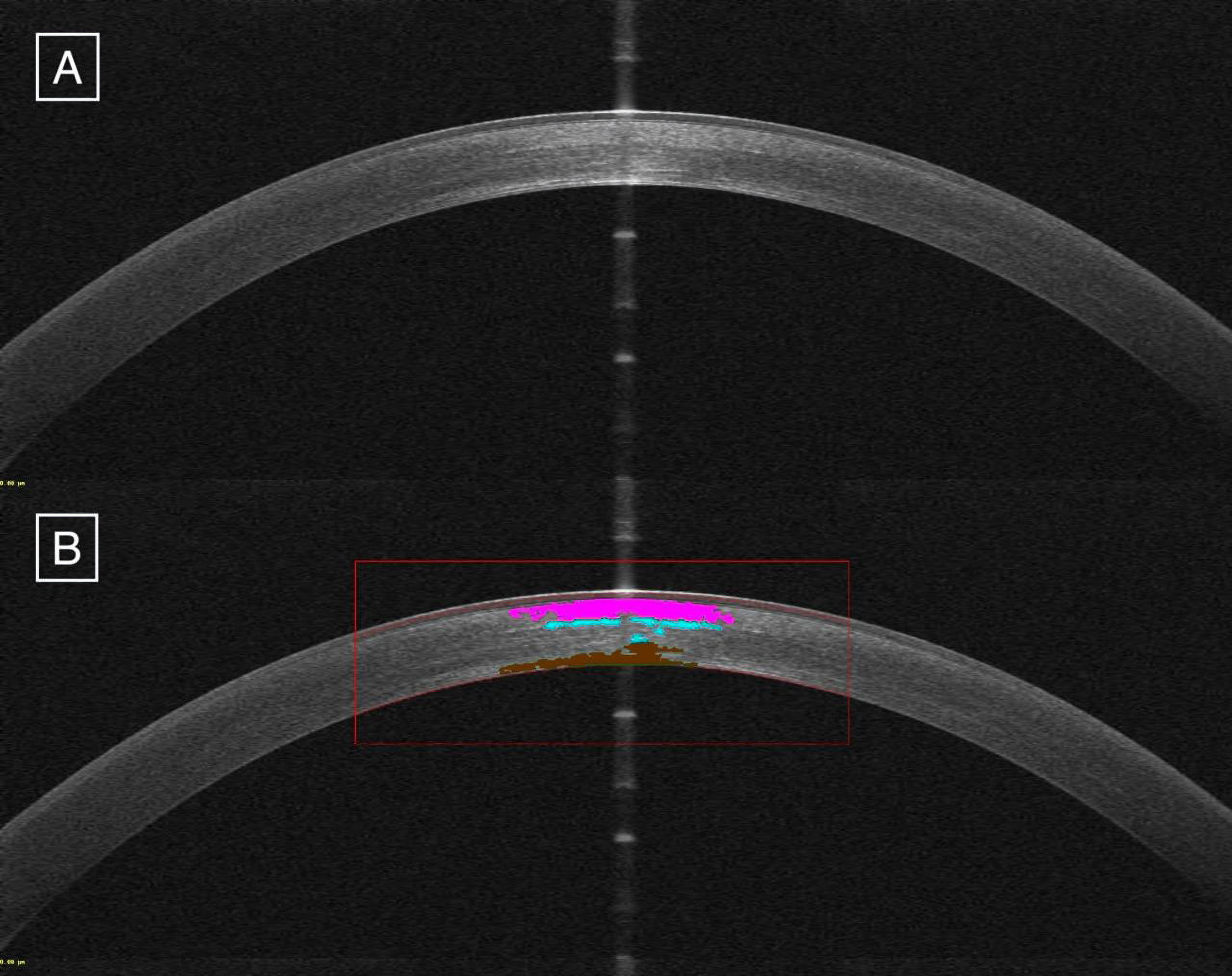 Evidence Supports Awwad Image Enhanced